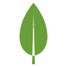 MongoDB